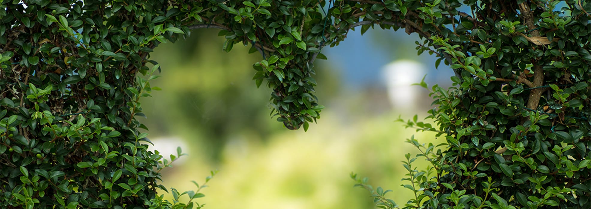 Environment Protection through Engineered Products Environment Protection through Engineered Products