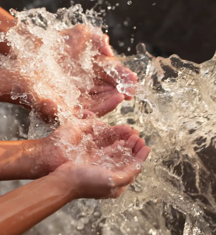 ERADICATION OF SEWAGE TOXINS FOR A HEALTHIER ECOSYSTEM